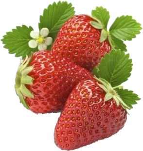 ANGEL FRUIT